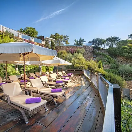 Hotel Cala Del Pi - Adults Only
