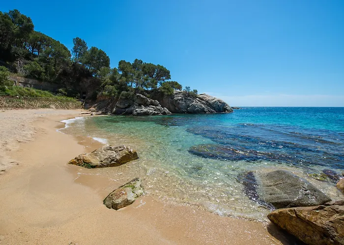 Cala Del Pi - Adults Only Platja d'Aro