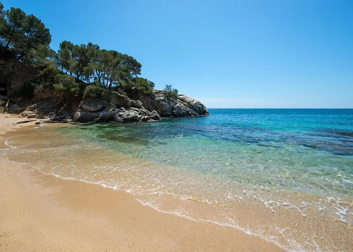 Cala Del Pi - Adults Only Platja d'Aro